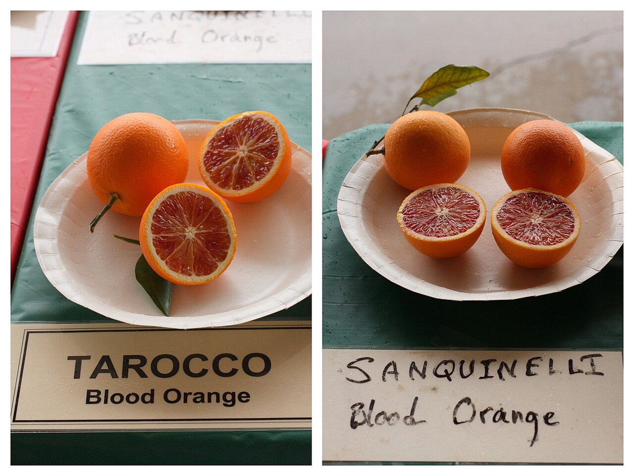 Blood orange