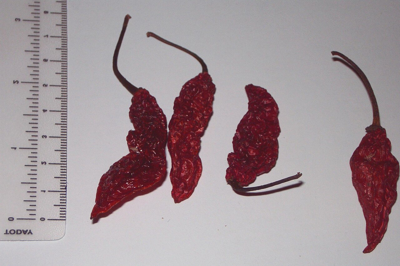 Ghost pepper