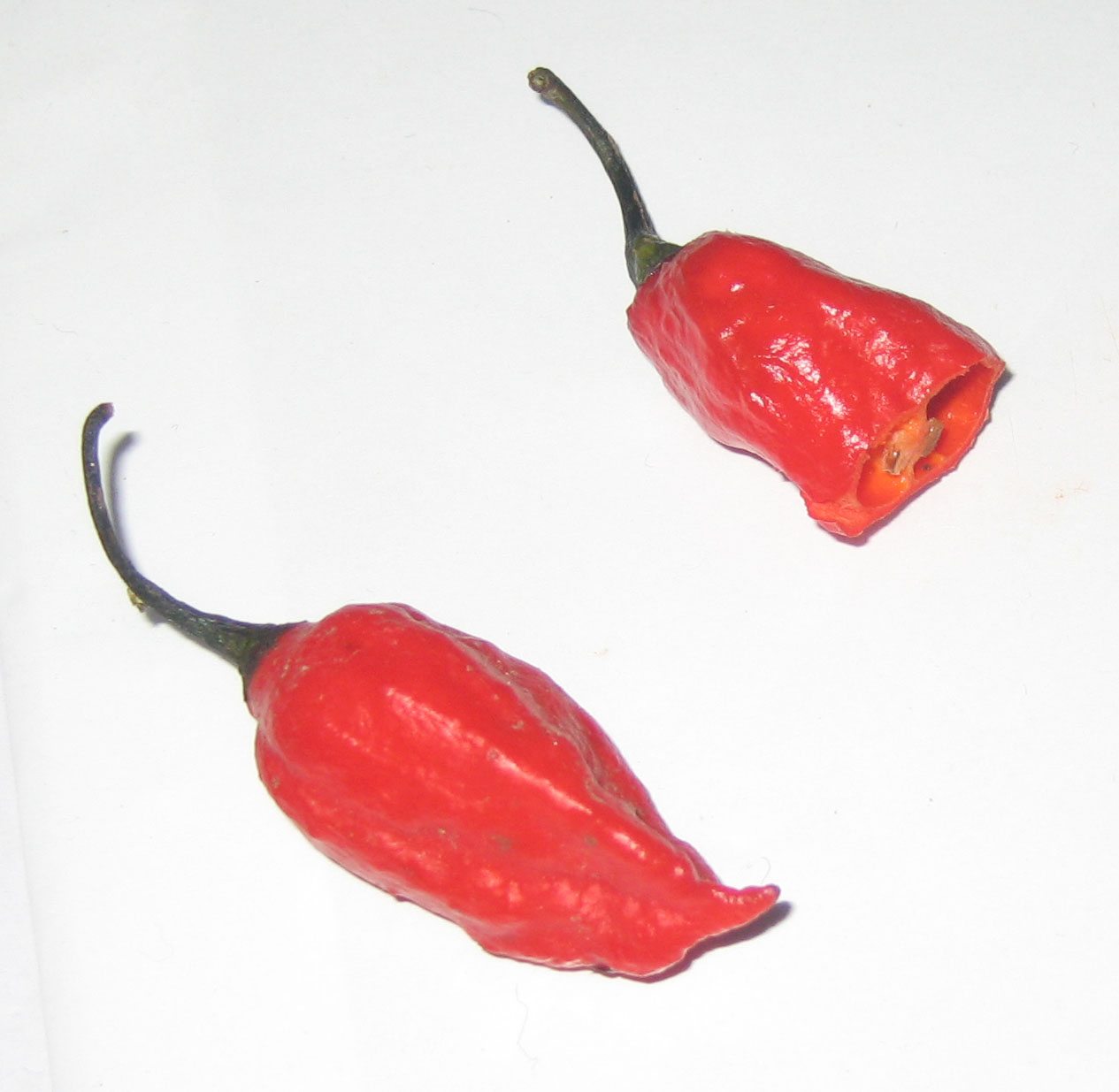 Ghost pepper